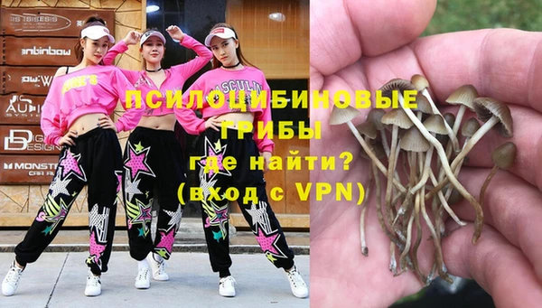 ешки Алзамай
