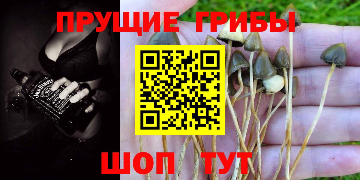 Мирный  Псилоцибиновые грибы ЛСД  Вход с VPN 
